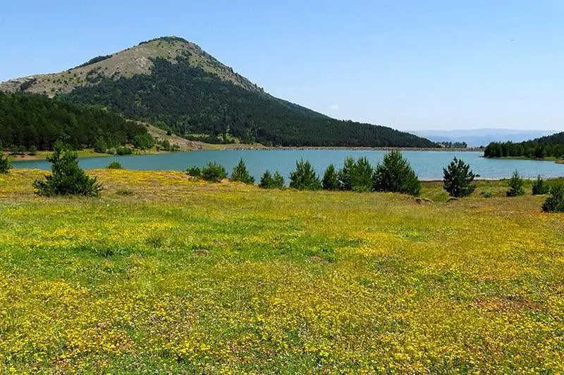 Dikmetaş Göleti fotoğraf 2