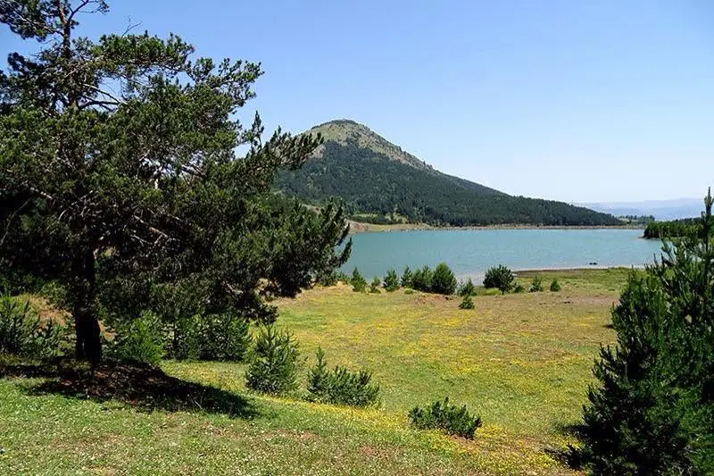 Dikmetaş Göleti